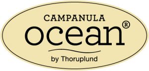 campanulaocean