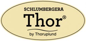 schlumbergerathor_rev